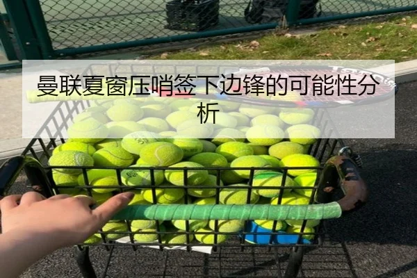 曼联夏窗压哨签下边锋的可能性分析